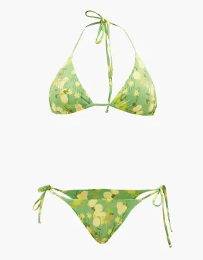 Bikini Citrus